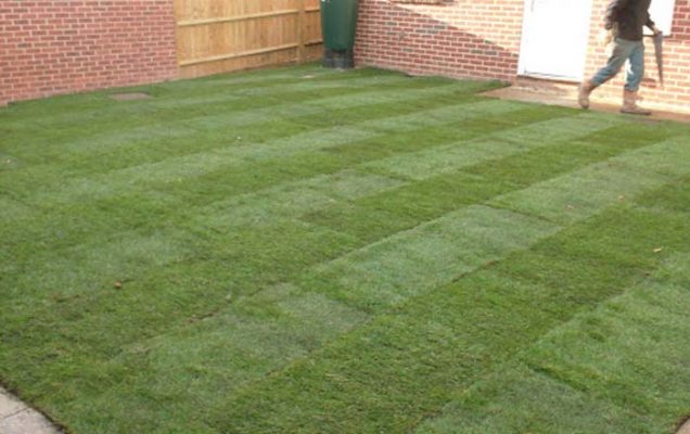 Artificial grass installation for residential garden